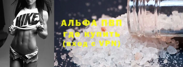 кокс Баксан